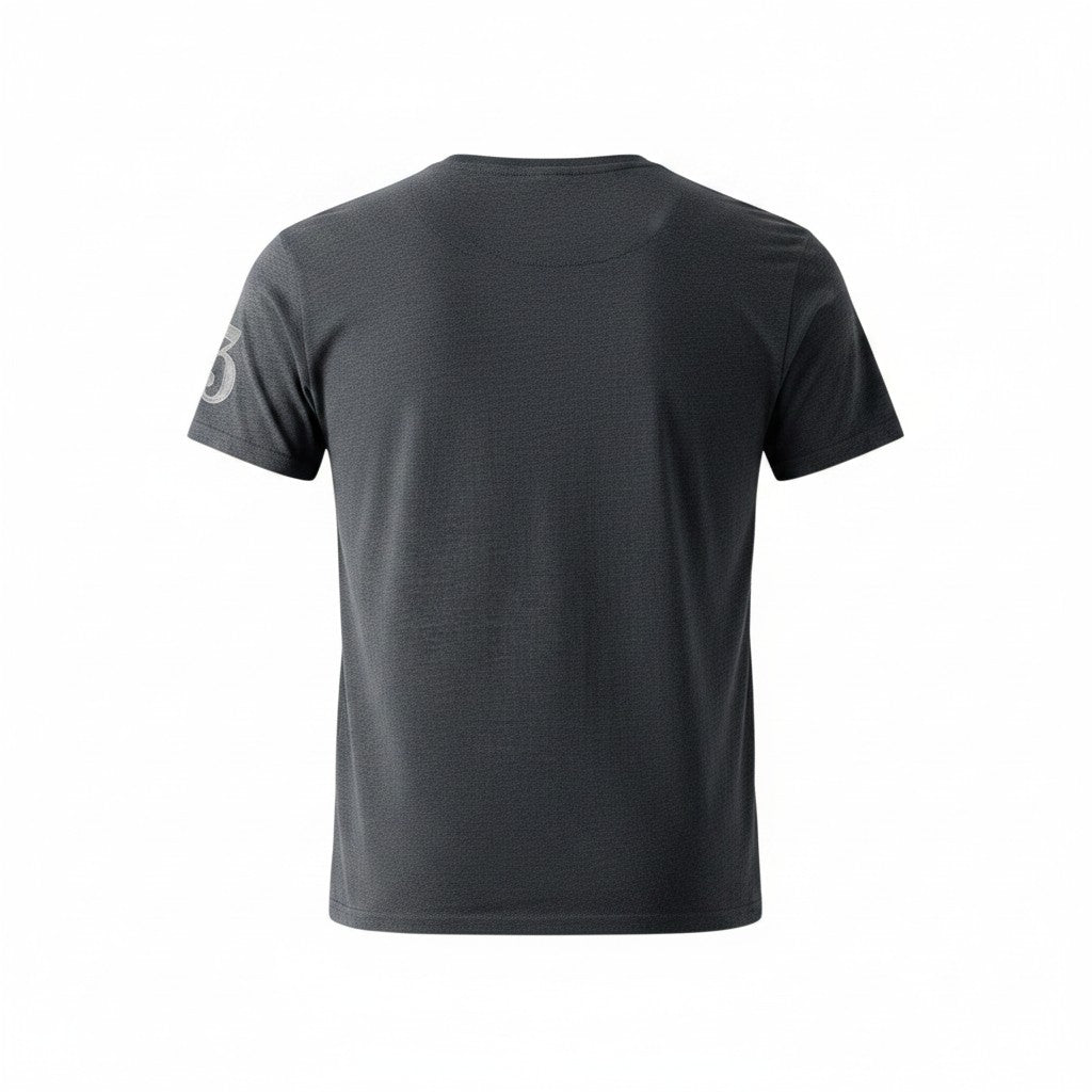 T-shirt Ralph Lauren Série Player – Col Rond – gris – Taille L